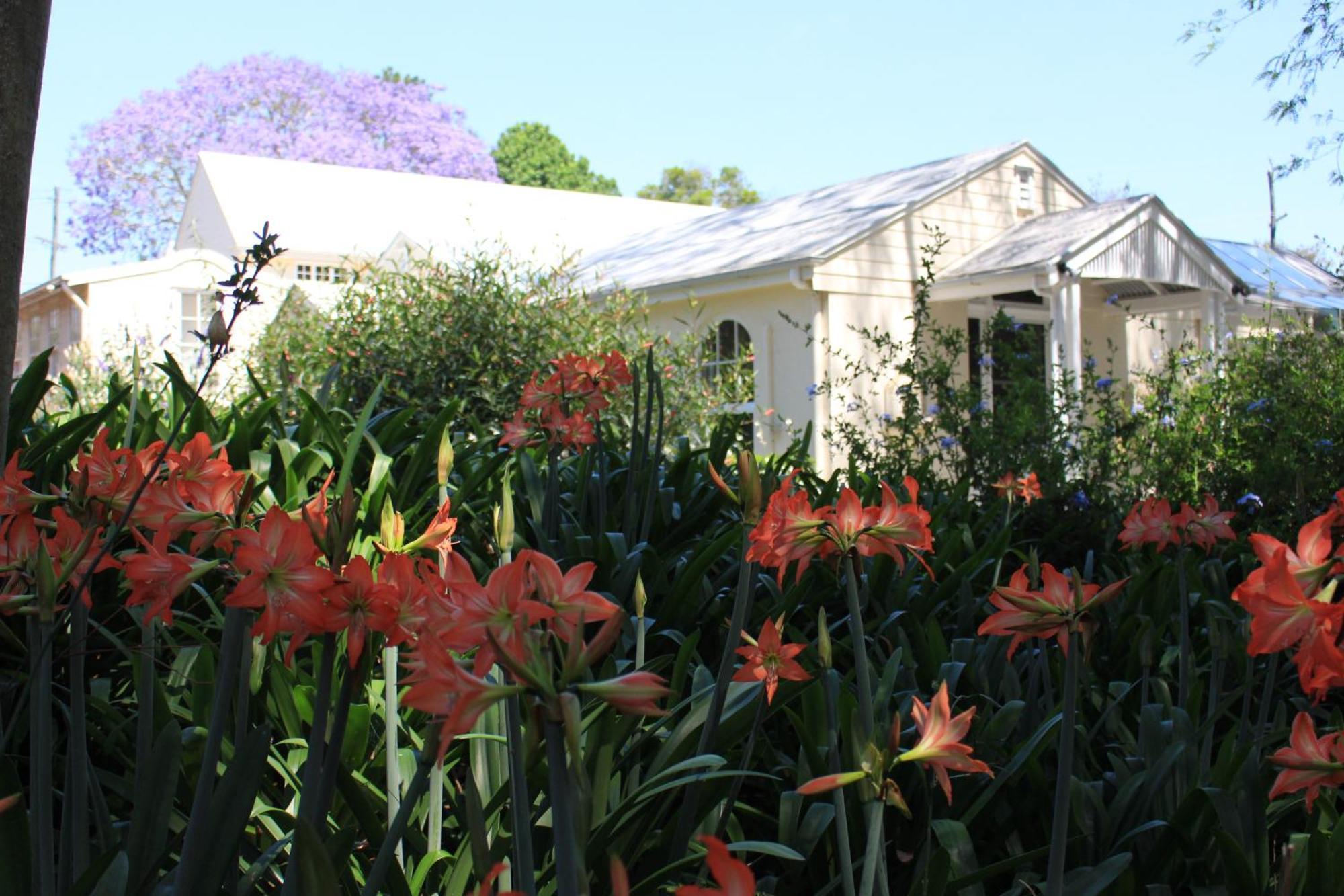 Wintergreen Manor At Maleny Exterior foto